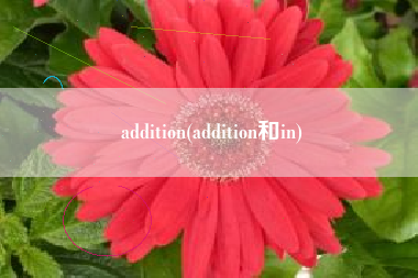 addition(addition和in)