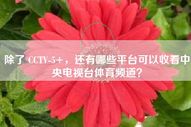 除了 CCTV-5+，还有哪些平台可以收看中央电视台体育频道？